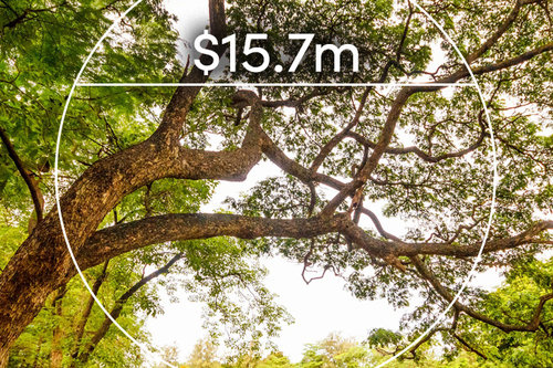 Green-leafed tree with text overlaid: $15.7m